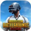 pubg mobile(国际服)最新版2022下载,pubg mobile(国际服)最新版本更新下载2022 v2.3.0